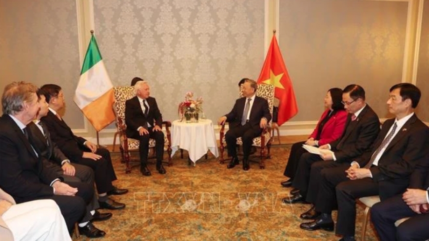 Top leader receives Honourary Consul, meets Vietnamese community in Ireland